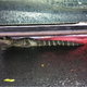 Illustration for article titled Why You Should Always Carry A Cameraphone: Alligators